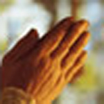 Folded Hands